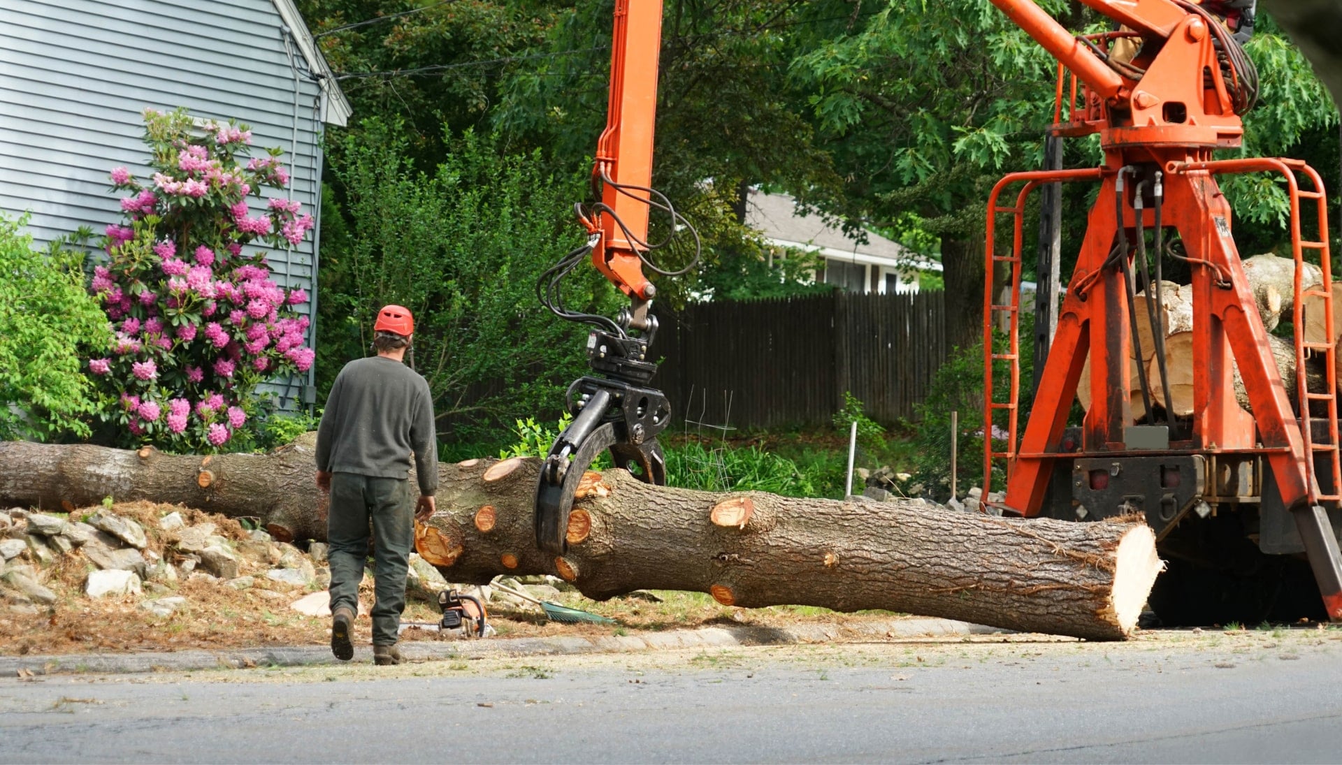 A tree stump has fallen and needs tree removal services in Fairfield, CA.