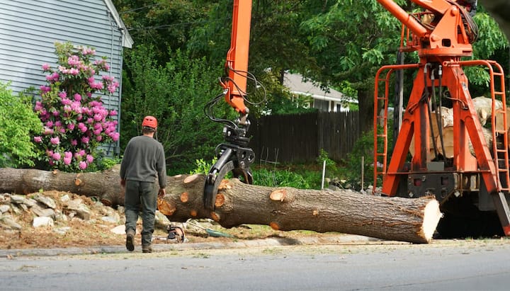 (c) Treeremoval-fairfield.com