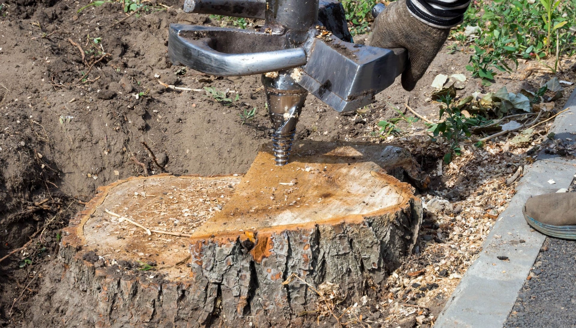 A stump grinding expert wearing work gloves for project in Fairfield, CA.